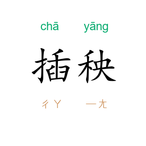 插秧