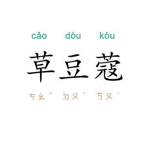 草豆蔻