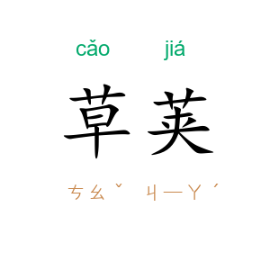 草荚