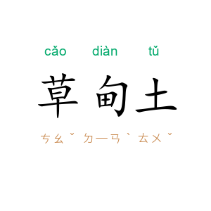 草甸土