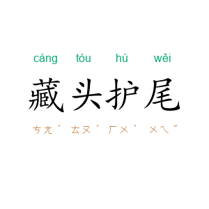 藏头护尾