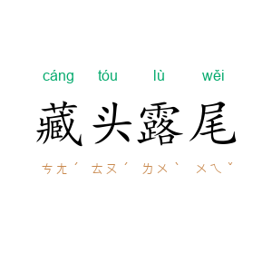 藏头露尾