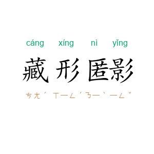 藏形匿影