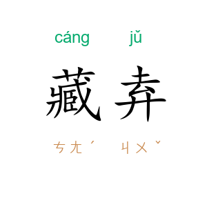 藏弆