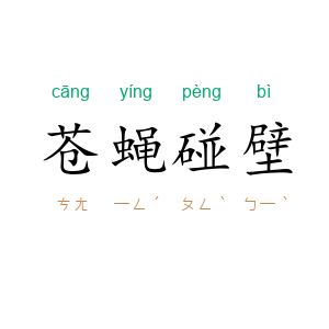 苍蝇碰壁
