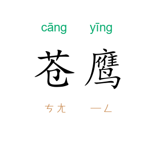 苍鹰