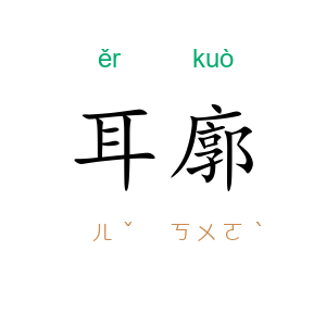 耳廓