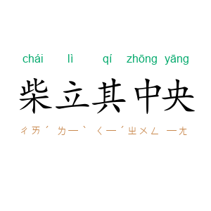 柴立其中央