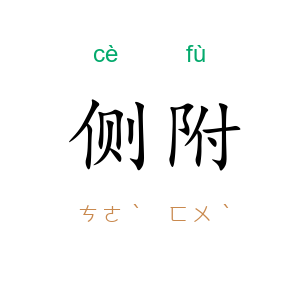 侧附