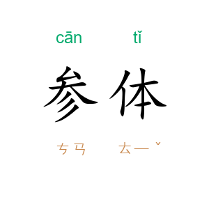 参体