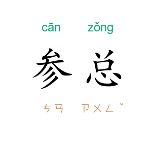 参总