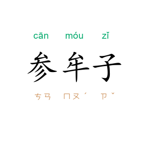 参牟子