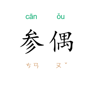 参偶