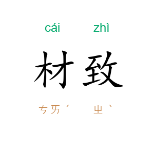 材致