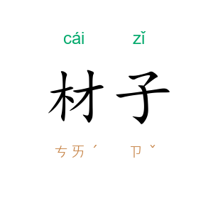 材子