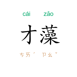 才藻