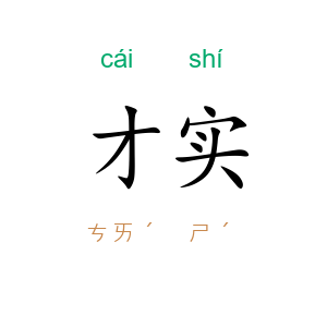 才实
