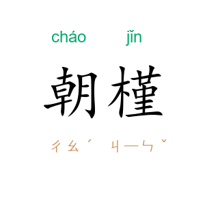 朝槿