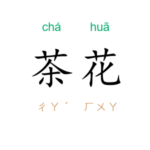 茶花