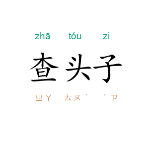 查头子