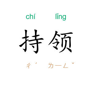 持领