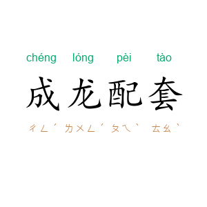成龙配套