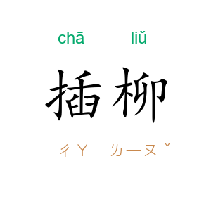 插柳