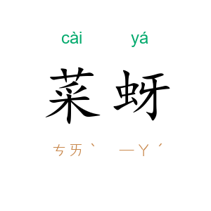 菜蚜