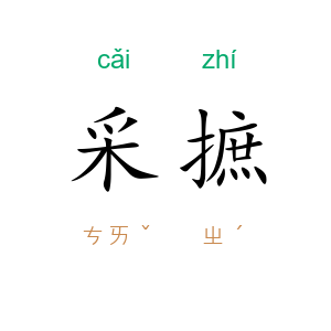 采摭