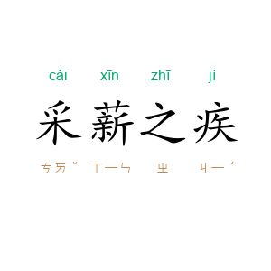 采薪之疾