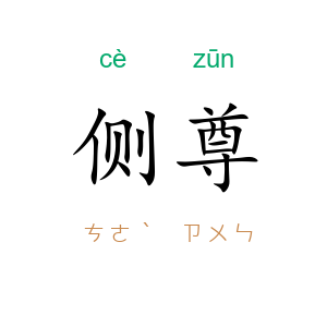 侧尊