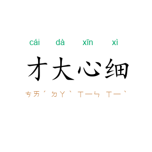 才大心细