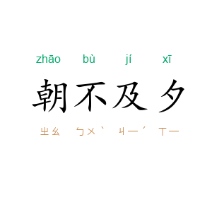 朝不及夕