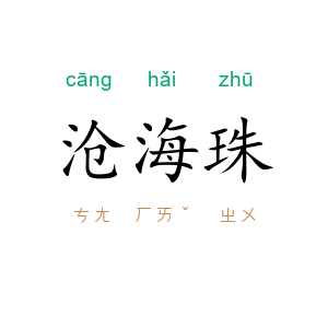 沧海珠