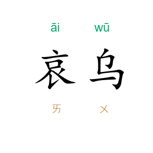 哀乌
