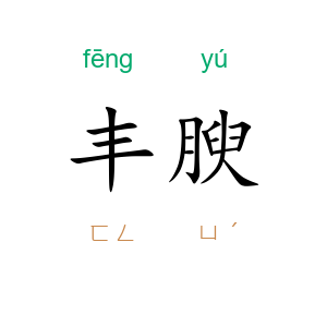 丰腴