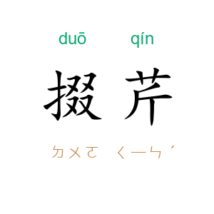 掇芹