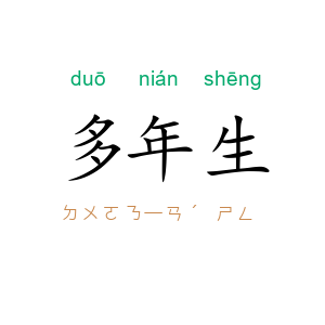多年生