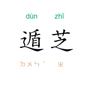 遁芝