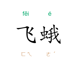 飞蛾