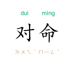 对命