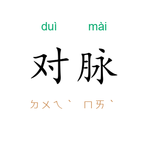 对脉