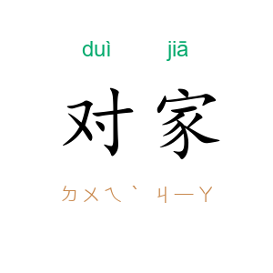 对家
