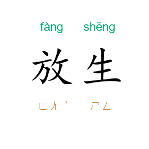 放生