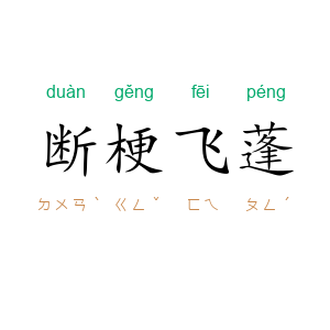 断梗飞蓬