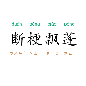 断梗飘蓬