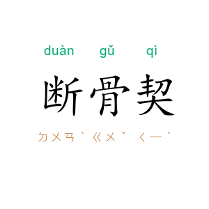 断骨契
