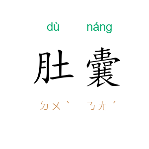 肚囊