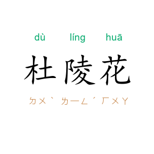 杜陵花