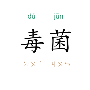 毒菌
